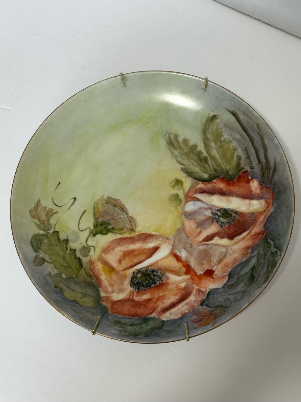 Hand-Painted Floral Decorative Plate - Green and Coral Poppies